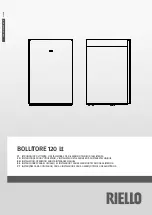 Riello BOLLITORE 120 Lt Installation, Operation And Maintenance Manual preview