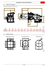 Предварительный просмотр 11 страницы Riello DB 12 SM C03 TC A0 FS1 T250 Installation, Use And Maintenance Instructions