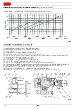 Предварительный просмотр 38 страницы Riello EMME 1400 Installation, Use And Maintenance Instructions