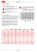 Preview for 46 page of Riello G30 MRBLU CF Installation, Use And Maintenance Instructions