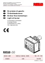 Preview for 1 page of Riello G3R Installation, Use And Maintenance Instructions