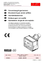 Riello GS20/M Installation, Use And Maintenance Instructions preview