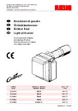 Preview for 1 page of Riello Gulliver BG6D Installation, Use And Maintenance Instructions