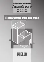 Riello INSIEME CONDENS 26 B Instructions For The User preview