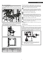 Preview for 19 page of Riello INSIEME EVOe 25 B/70 LN Installation And Maintenance Manual