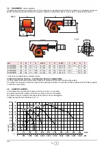 Preview for 7 page of Riello P 140 P/NA Installation, Use And Maintenance Instructions