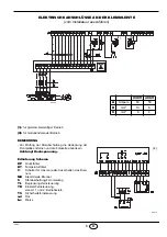 Preview for 21 page of Riello P 450 P/G Installation, Use And Maintenance Instructions