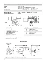 Предварительный просмотр 2 страницы Riello PRESS 3G Installation, Use And Maintenance Instructions