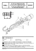 Предварительный просмотр 1 страницы Riello R.B.L. 3000981 Quick Start Manual