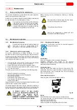 Preview for 39 page of Riello RLS 28 Installation, Use And Maintenance Instructions