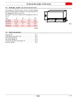 Предварительный просмотр 11 страницы Riello RLS 280/E Installation, Use And Maintenance Instructions