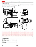 Preview for 12 page of Riello RLS 300/E Installation, Use And Maintenance Instructions