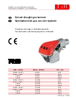 Preview for 1 page of Riello RS 100 Installation, Use And Maintenance Instructions