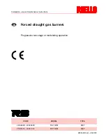 Preview for 1 page of Riello RS 150/M Installation, Use And Maintenance Instructions