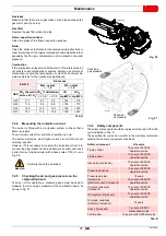 Preview for 39 page of Riello RS 160/E O2 BLU Installation, Use And Maintenance Instructions