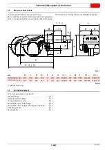 Preview for 11 page of Riello RS 160/EV O2 BLU Installation, Use And Maintenance Instructions