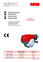 Preview for 1 page of Riello RS 300/E BLU Installation, Use And Maintenance Instructions