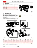 Preview for 12 page of Riello RS 310/EV BLU FS1 Installation, Use And Maintenance Instructions