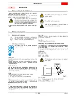 Предварительный просмотр 53 страницы Riello RX 1000 S/PV Installation, Use And Maintenance Instructions