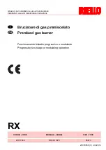 Riello RX 500 S PV Manual preview