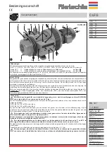 Preview for 21 page of Rietschle CLFG 101 Manual