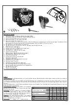 Preview for 4 page of Rietschle PICO DLT 10 Operating Instructions Manual