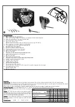 Preview for 8 page of Rietschle PICO DLT 10 Operating Instructions Manual