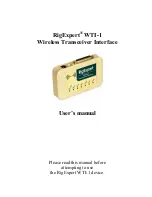 RigExpert WTI-1 User Manual preview