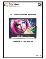 Righton RBM-2401D User Manual предпросмотр