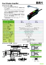 Предварительный просмотр 1 страницы RIKO BR1 Manual