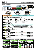 Предварительный просмотр 2 страницы RIKO BR1 Manual