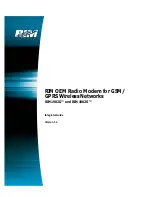 RIM 1802G Integrator Manual preview