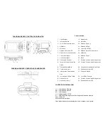 Preview for 29 page of Rimax Baby Kangoo RB201 User Manual