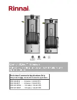 Rinnai Demand Duo CHS199100RiN Installation And Operation Manual предпросмотр