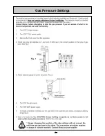 Preview for 24 page of Rinnai Infinity 11e Service Manual