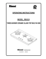 Rinnai RB3CG Operating Instructions Manual preview