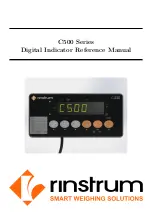 Rinstrum C500 series Reference Manual preview