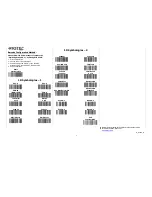 Preview for 2 page of RIOTEC FS5100D Programming Quick Manual