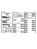 RIOTEC LS6300 Programming Quick Manual preview