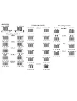 Preview for 2 page of RIOTEC LS6307 USB Programming Quick Manual