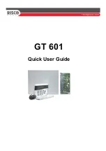 Предварительный просмотр 1 страницы Risco GT 601 Quick User Manual