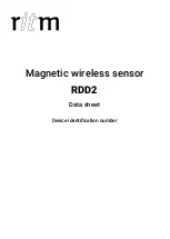 ritm RDD2 Datasheet preview