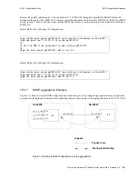 Предварительный просмотр 291 страницы Riverstone Networks WICT1-12 User Manual