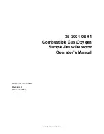 RKI Instruments 35-3001-06-01 Operator'S Manual preview