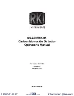RKI Instruments 65-2437RK-05 Operator'S Manual preview