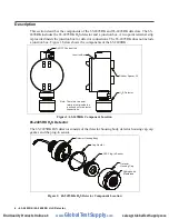 Preview for 6 page of RKI Instruments 65-2495RK Operator'S Manual