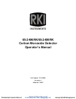 RKI Instruments 65-2496RK Operator'S Manual preview