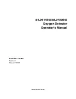 RKI Instruments 65-2511RK Operating Manual preview