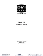RKI Instruments EAGLE 2 Operator'S Manual preview