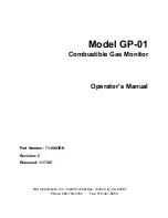 RKI Instruments GP-01 Operator'S Manual preview